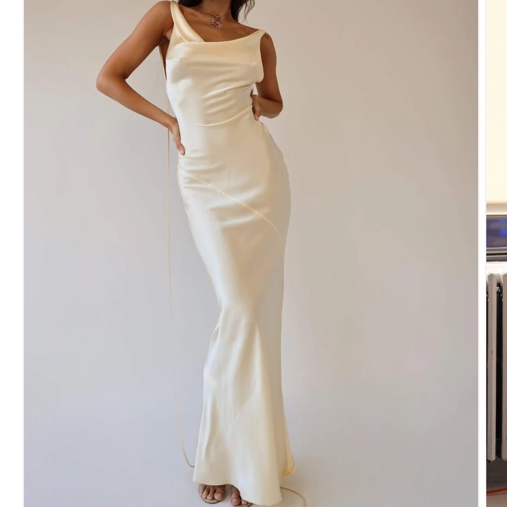 Satin Backless Maxi Dress NWT (2 sizes available)